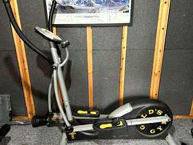 Freecycle Gold's VB Cross Trainer