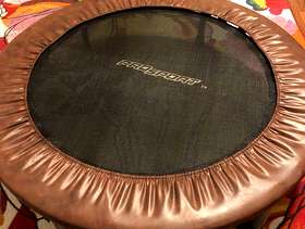 Freecycle Mini Trampoline