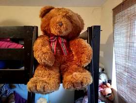 Freecycle Large cuddly brown bear