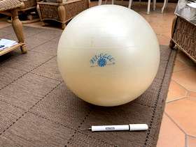 Freecycle Fitball