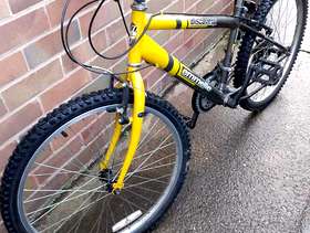 Freecycle Boys mountain bike
