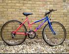 Freecycle Girl's mountain bike