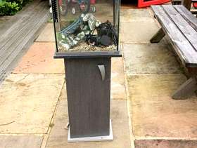 Freecycle Fish Tank