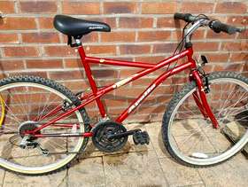 Freecycle Bike