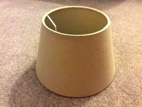 Freecycle Small Lamp Shade