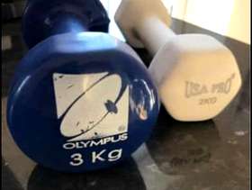 Freecycle Hand weights