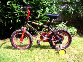 Freecycle Boys' bike