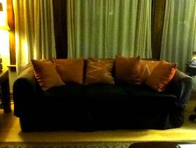 Freecycle Sleeper Sofa