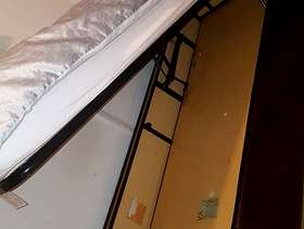 Freecycle Bed