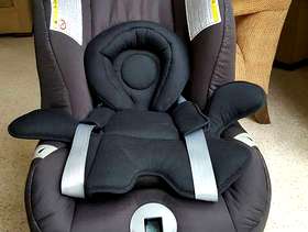 Freecycle Car baby seat
