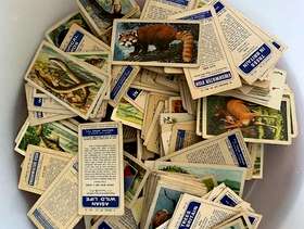 Freecycle Brooke Bond Tea cards