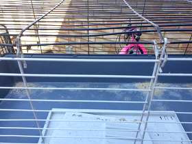 Freecycle Indoor rabbit cage