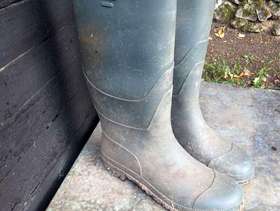 Freecycle Men's Green Wellington Boots size 10