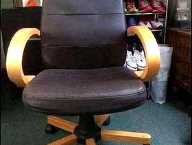 Freecycle Office Chair