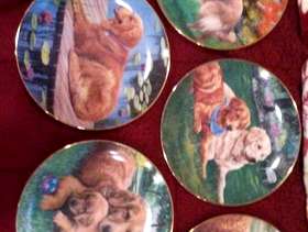 Freecycle Beautiful Golden Retriever plates