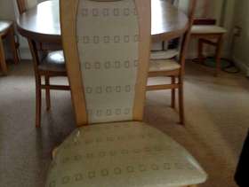 Freecycle Dinning Chairs