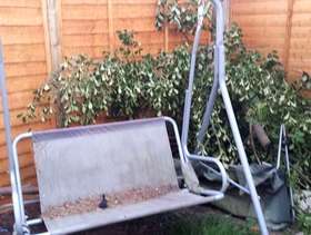 Freecycle Tree and swing