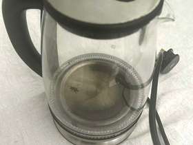 Freecycle Electric glass kettle
