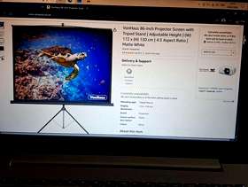 Freecycle Tripod type projection screen