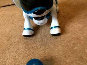 Freecycle Teksta toy robot dog with ball