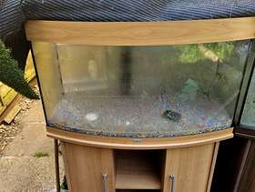 Freecycle Large fish tank