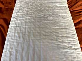 Freecycle Child's cot mattress