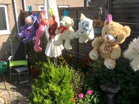 Freecycle Soft toys