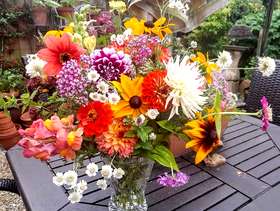 Freecycle Large bunch of home grown fresh flowers