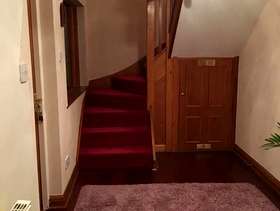 Freecycle Large Lilac Shaggy Rug