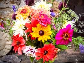 Freecycle Large bouquet of fresh cottage garden flowers