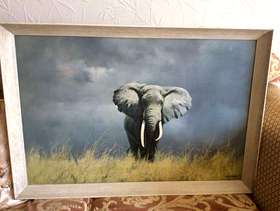 Freecycle Print of Wise Old Elephant