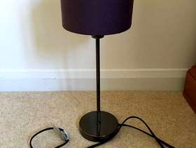 Freecycle Lamp