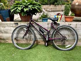 Freecycle Ladies bicycle