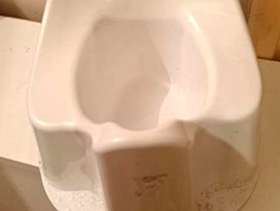 Freecycle Potty