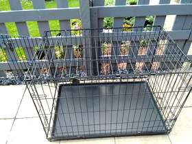 Freecycle Large dog cage