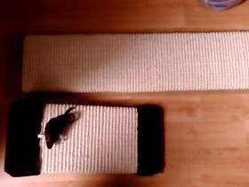 Freecycle Cat scratch board