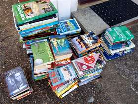 Freecycle Stack of books