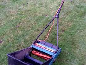 Freecycle Electric lawn Rake