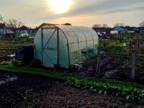 Freecycle Polytunnel