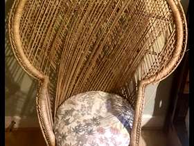 Freecycle Cane peacock chair