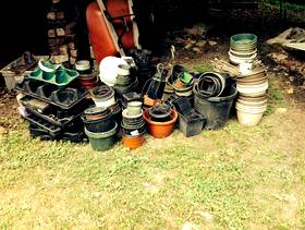 Freecycle Plant pots
