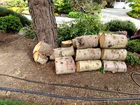 Freecycle Firewood Rounds