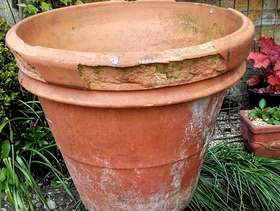 Freecycle Large terracotta plant pot