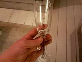 Freecycle Champagne Flutes