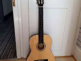 Freecycle Guitar