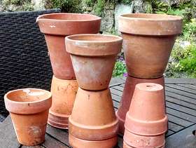 Freecycle 11 terracotta plant pots