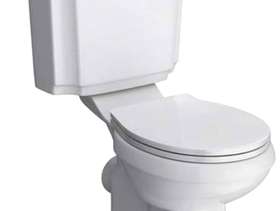 Freecycle Toilet seat