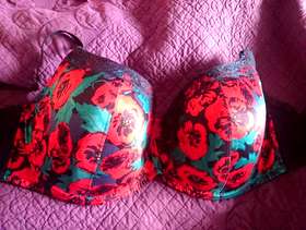 Freecycle Beautiful Brand New YOURS bra 48G