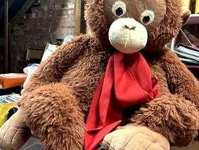 Freecycle Giant Palmoil Orangutang teddy