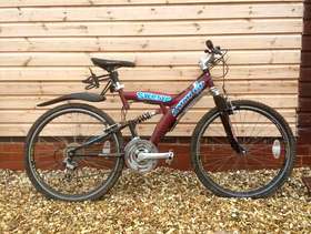 Freecycle Men's bicycle